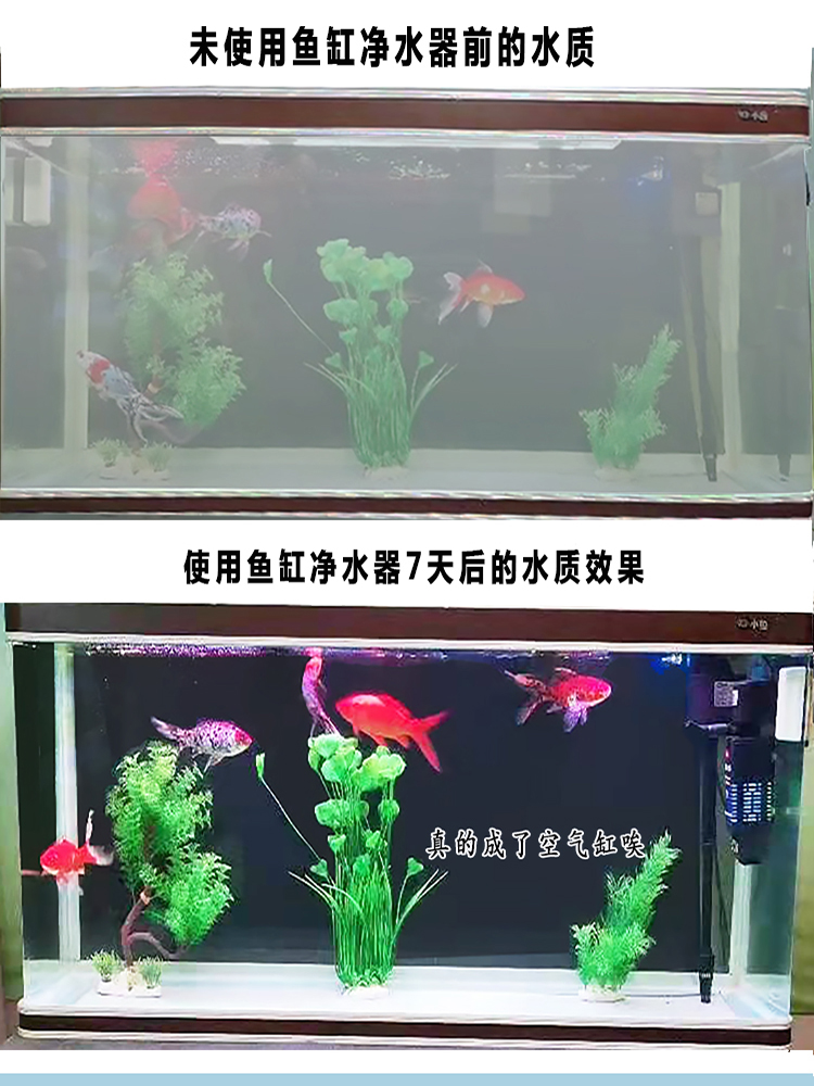 鱼缸水族箱0.5米以上大中型客厅生态免换水神奇鱼缸净水器 工厂店