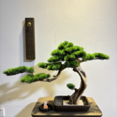 高档仿真迎客松植物盆景摆件中式 禅意客厅玄关崖柏实木鱼缸树摄影