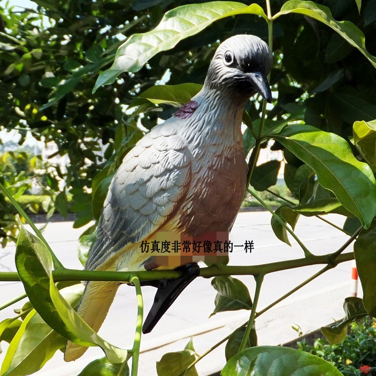 庭院斑鸠新品鸽子园林假鸟吊饰
