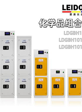 雷盾实验室高校化学品组合柜冷轧钢板化学试剂储存柜危化品储存柜