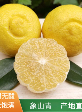 浙江象山青柑橘日本春香橘柚清甜爽口黄金贡柚酸甜柑橘新鲜水果