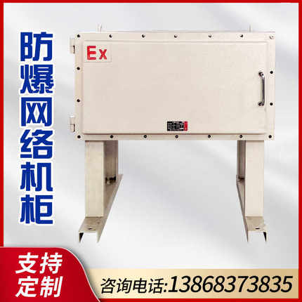 防爆网络机柜6U配电箱控制箱检修电源箱开关箱电控箱仪表插座箱
