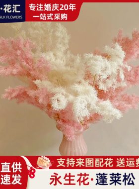 干花永生蓬莱松雾状蓬松花艺软装花艺美陈婚庆布置咖啡厅装饰