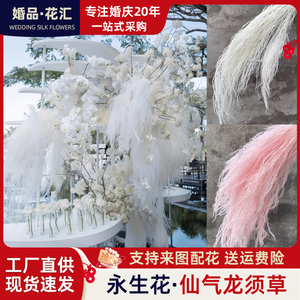 永生花梦幻龙须草干花婚庆礼装饰软装网红活动花艺素材悬挂仿真花