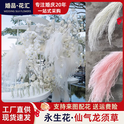 永生花梦幻龙须草干花婚庆礼装饰软装网红活动花艺素材悬挂仿真花