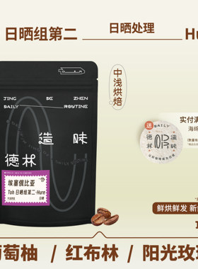 TOH日晒组第二中浅烘手冲咖啡豆