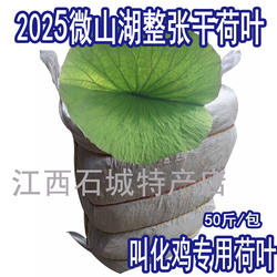 微山湖张张干荷叶整张50斤荷叶鸡糯米鸡荷叶茶2025新鲜大张莲藕叶