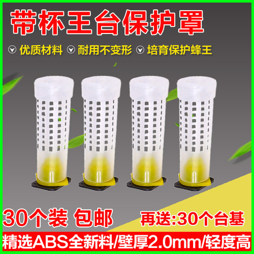 王台保护罩育王专用防咬保护器培育蜂王幼虫台基中蜂意蜂养蜂工具