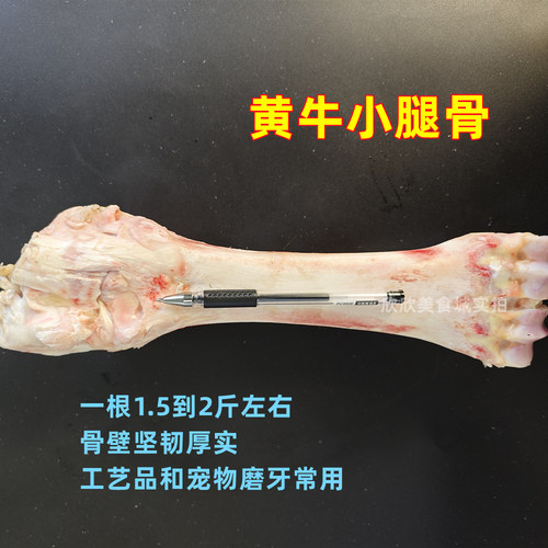 新鲜牛小腿骨屠宰直发