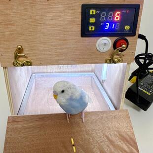 自制小鸟鹦鹉风暖保温鸟窝外挂实木繁殖箱大空间孵化箱虎皮牡丹