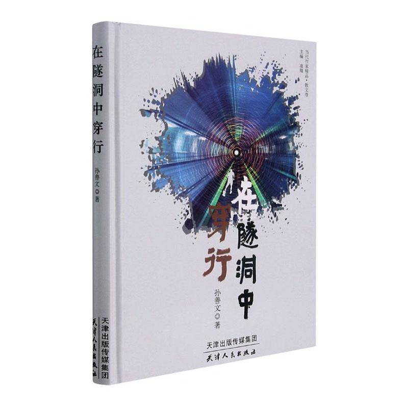 RT正版 在隧洞中穿行(精)/当代作家精品9787201176833 孙善文天津人民出版社文学书籍