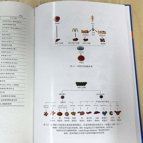 RT正版 类器官技术:疾病模型构建与个性化治疗9787122474193 巴德鲁尔·希沙姆·亚雅化学工业出版社医药卫生书籍