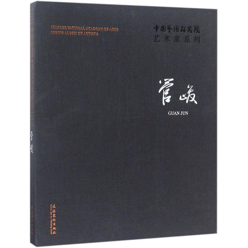 RT正版 中国艺术研究院艺术家系列：管峻9787503964428 连辑文化艺术出版社艺术书籍