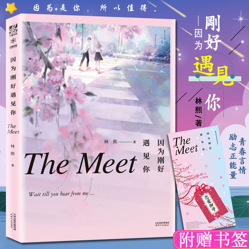 赠书签】因为刚好遇见你 林熙著 暖心校园励志成功积正能量青春言情