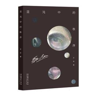 王琰文化艺术出版 秩序9787503976285 社艺术书籍 混沌中 RT正版