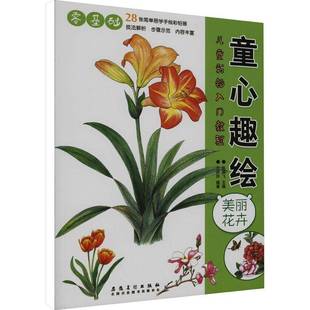 RT正版 赵锦飞安徽社艺术书籍 童心趣绘：美丽花卉9787574501096