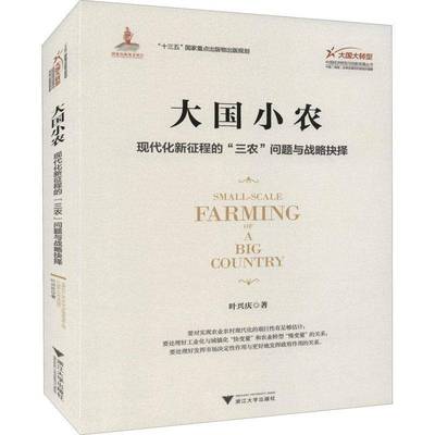 RT正版 大国小农:现代化新征程的“三农”问题与战略抉择9787308214544 叶兴庆浙江大学出版社经济书籍