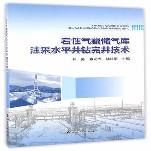 RT正常发货 岩性气藏储气库注采水井钻完井技术9787518315277 林勇石油工业出版社工业技术书籍