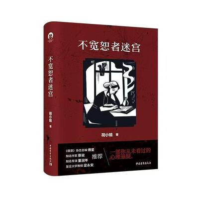 RT正版 不宽恕者迷宫9787515375205 荷小姐中国青年出版社小说书籍