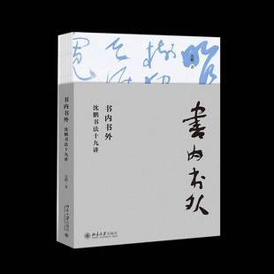 社艺术书籍 沈鹏北京大学出版 RT正版 书内书外：沈鹏书法十九讲9787301309971