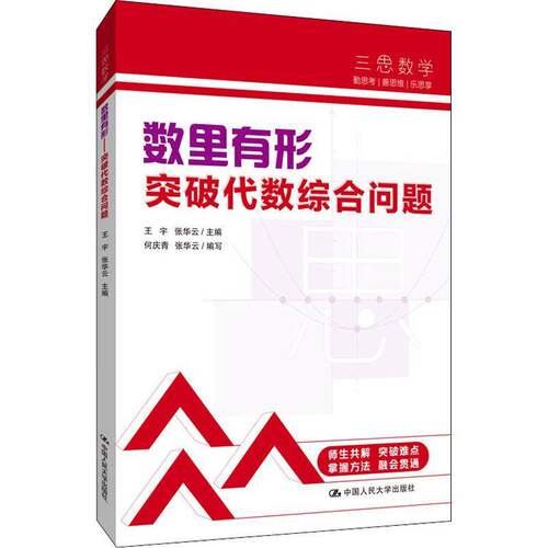 RT现货速发 数里有形——突破代数综合问题9787300301426 王宇中国人民大学出版社自然科学书籍