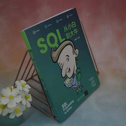 RT正版 SQL从小白到大牛9787302626534 关东升清华大学出版社计算机与网络书籍