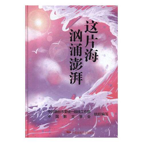 RT现货速发 这片海，汹涌澎湃9787512212985 红孩中国民族摄影艺术出版社文学书籍