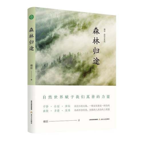 RT正版 森林归途9787537865739 傅菲北岳文艺出版社文学书籍