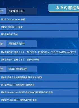 RT正版 BERT基础教程：Transformer大模型实战9787115603722 苏达哈尔桑·拉维昌迪兰人民邮电出版社计算机与网络书籍