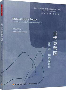 RT现货速发 当代克莱因:卷:Volume 2:实践发展篇:Mainly9787518443352 伊丽莎白·博特·斯皮利厄斯中国轻工业出版社社会科学书籍