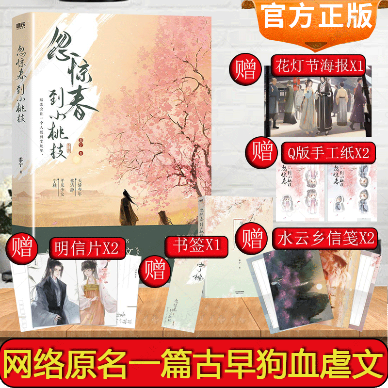 赠信笺X2+明信片X2+书签+海报+手工纸X2】忽惊春到小桃枝小说 网络原名 一篇古早狗血虐文 新锐作者 书写少年们懵懂动荡的青葱岁月