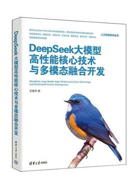RT正版 DeepSeek大模型高性能核心技术与多模态融合开发9787302684893 王晓华清华大学出版社工业技术书籍