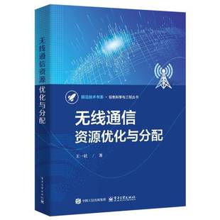RT正版 无线通信资源优化与分配9787121485862 王一钍电子工业出版社工业技术书籍