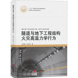 RT正版 隧道与地下工程结构火灾高温力学行为9787576501223 闫治国同济大学出版社建筑书籍