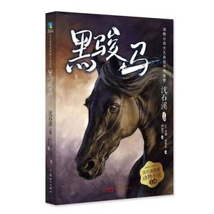 RT正版 黑骏马9787558328275 沈石溪儿童读物书籍