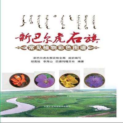 RT正版 新巴尔虎右旗常见植物彩色图谱9787511631565 胡高娃中国农业科学技术出版社自然科学书籍