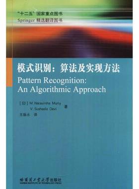 RT正版 模式识别:算法及实现方法:an algorithmic approach9787560363271 哈尔滨工业大学出版社自然科学书籍