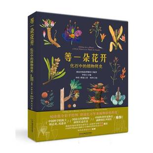 等一朵花开 brief RT正版 plants 李倩湖南科学技术出版 植物简史 fossils9787571033033 化石中 社自然科学书籍 history