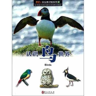 RT正常发货 认识鸟世界9787119078601 陈会坤撰稿外文出版社儿童读物书籍