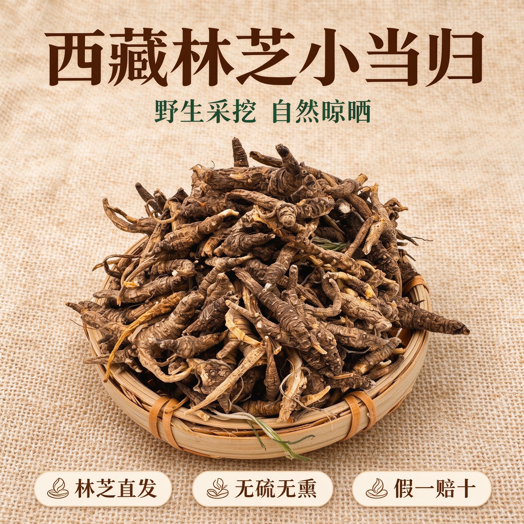 西藏特产正宗林芝野生小当归中药材藏当归无硫新货煲汤林芝直发