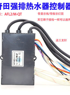奇田强排控制器点火器AFL2/M-QT