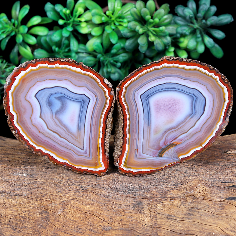 晶贵人天然战国红玛瑙 粉白蓝色缠丝  原石 对石摆件