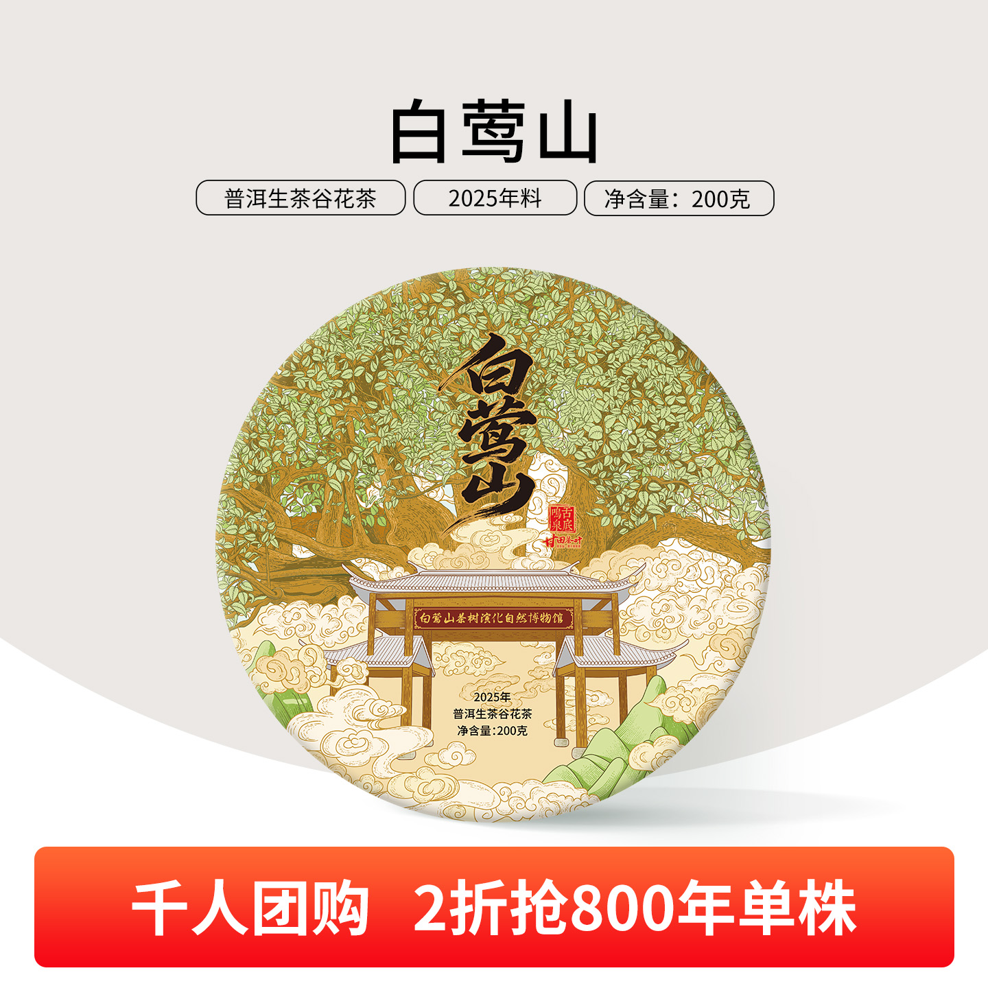 800年古树5分之一价格喝