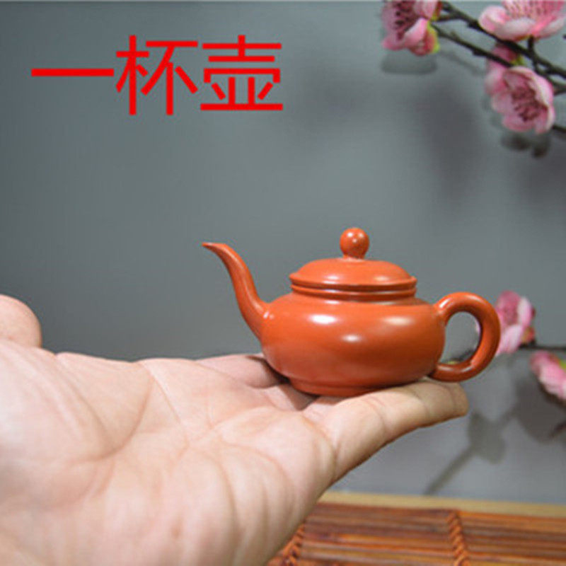 小神灯壶储国芳储氏紫砂壶纯手工潮州朱泥手拉壶迷你小茶壶1杯壶
