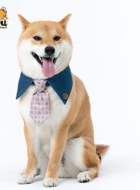 宠物狗狗猫咪柴犬萌宠小领巾口水巾结婚婚礼喜庆西装领带配饰围脖