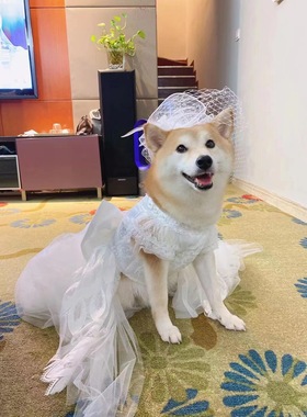 独家宠物狗狗猫咪可定制柴犬结婚礼服蓬蓬裙拖尾大裙摆婚纱公主裙