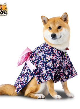 宠物狗猫手工定制日本进口日式柴犬柯基樱花拍摄写真出游春游和服