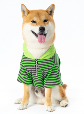 独家设计宠物狗狗猫咪柴犬贵宾潮牌春夏季新款透气轻薄拉链戴帽卫