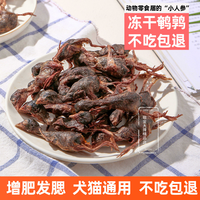 冻干鹌鹑猫咪宠物狗零食增肥发腮零食冻干粮生骨肉小鹌鹑猫咪零食