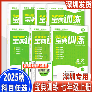 【深圳专版】2025秋版高效课堂宝典训练七年级上册语文数学英语历史道德与法治生物地理人教版沪教牛津版北师版同步训练辅导期末